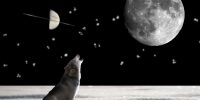 Luna, Saturn in Ketu – kaj nam prinašajo?